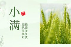 諾海化工 | 物迎夏熟，恰人生小得盈滿